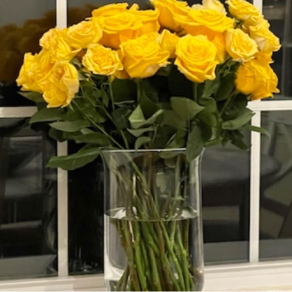 Meet your Posher, Katherine & Kate - Picture 1 of 1